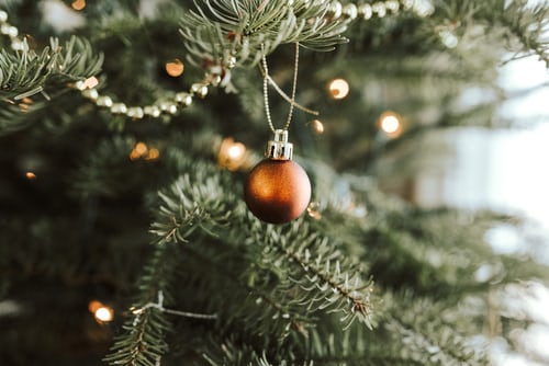 Cara Tepat Membersihkan Pohon Natal Anda